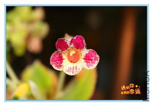 ��Ƭ 019_����.jpg