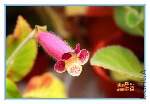 ��Ƭ 020_����.jpg