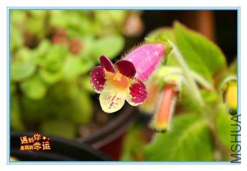 ��Ƭ 021_����.jpg