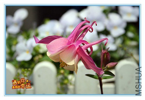 ��Ƭ 073_����.jpg