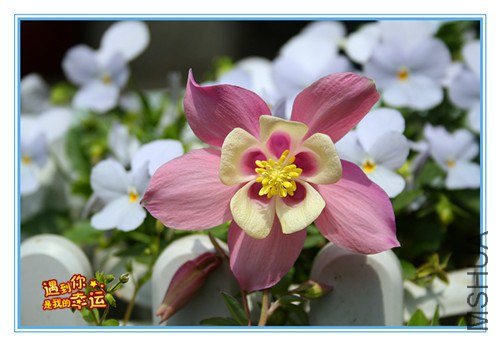 ��Ƭ 076_����.jpg