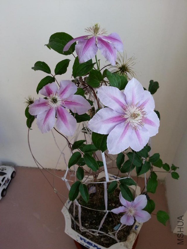 20121004_161044.JPG