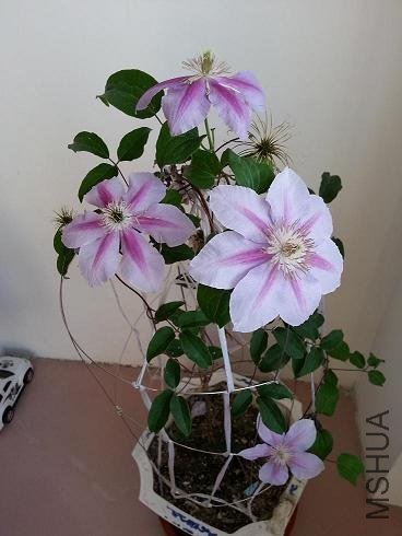 20121004_161044.JPG