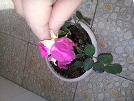 20130421_100951.jpg