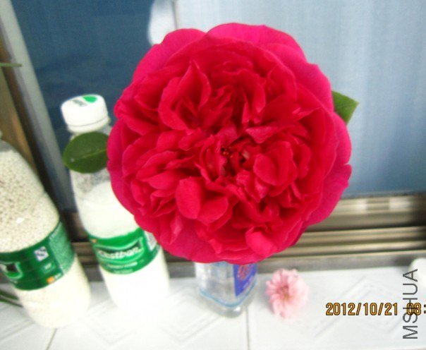 QQ��ͼ20130427202959.jpg