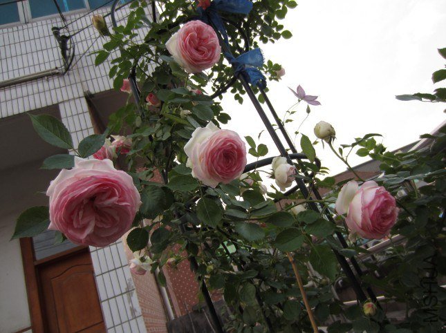 QQ��ͼ20130427203445.jpg