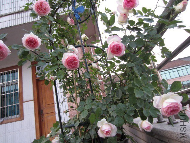 QQ��ͼ20130427203503.jpg