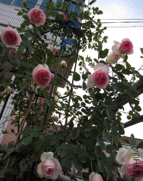 QQ��ͼ20130427203517.jpg