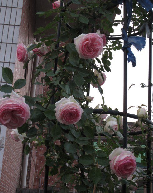 QQ��ͼ20130427203531.jpg