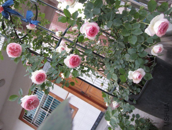 QQ��ͼ20130427203602.jpg