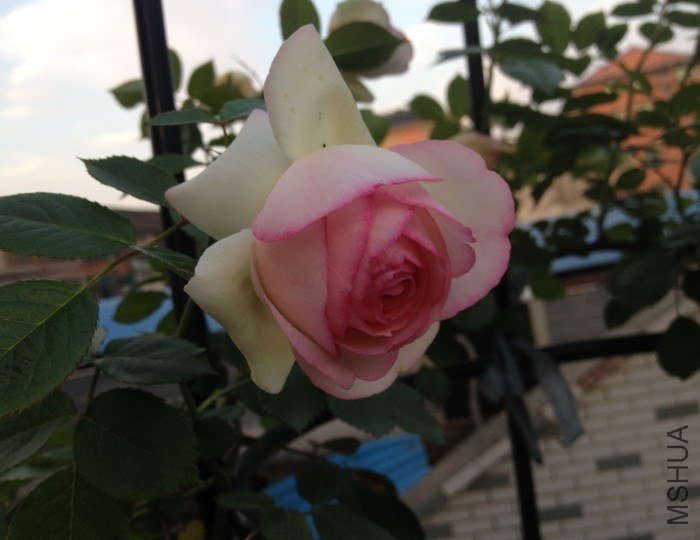 QQ��ͼ20130427203637.jpg
