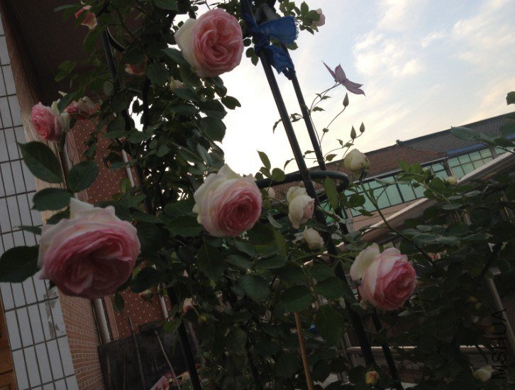 QQ��ͼ20130427203651.jpg