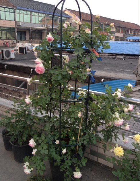 QQ��ͼ20130427203705.jpg