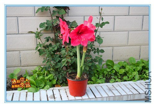 ��Ƭ 076_����.jpg