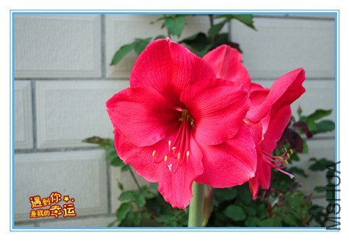 ��Ƭ 080_����.jpg