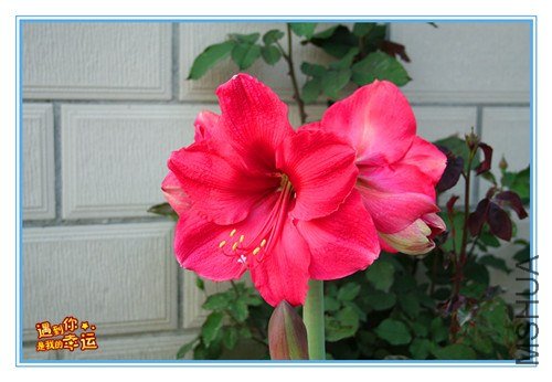 ��Ƭ 082_����.jpg