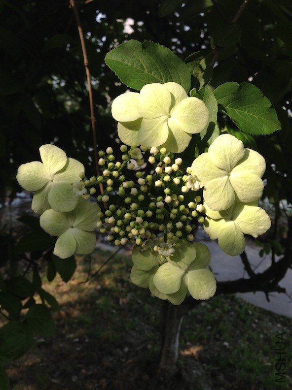 ����20130415 002.JPG