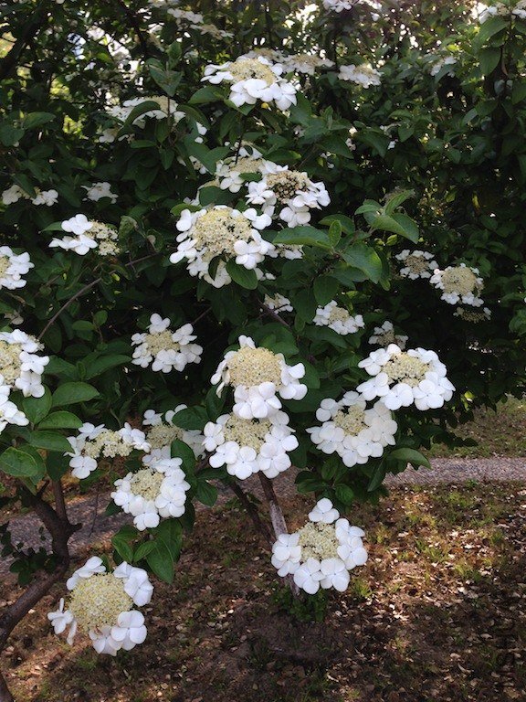 ����20130415 005.JPG