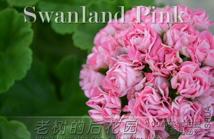 QQ��ͼ20130428055041.jpg