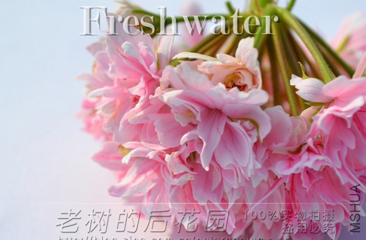 QQ��ͼ20130428055104.jpg