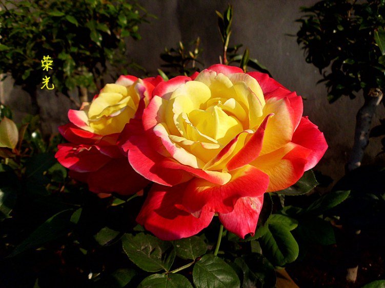 DSCI0965_����.jpg