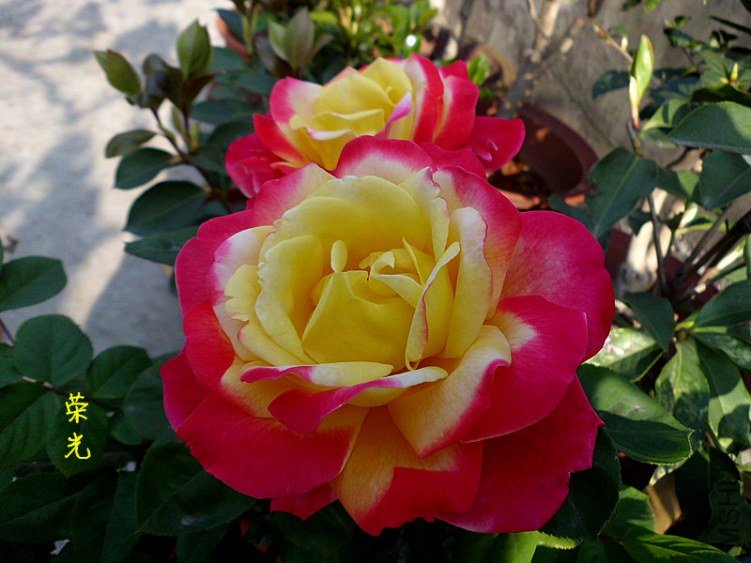 DSCI0977_����.jpg