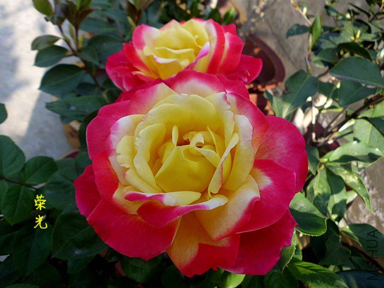 DSCI0979_����.jpg