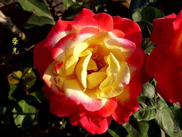 DSCI0973_����.jpg