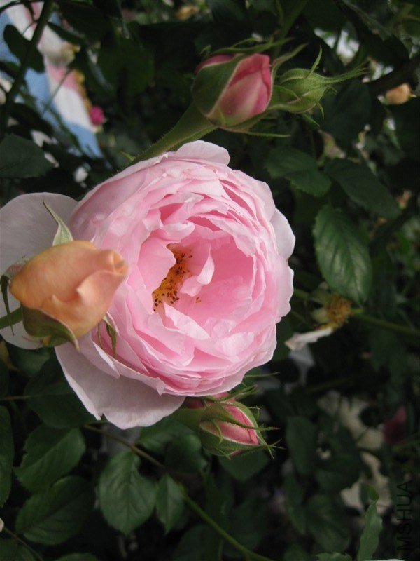 28.jpeg