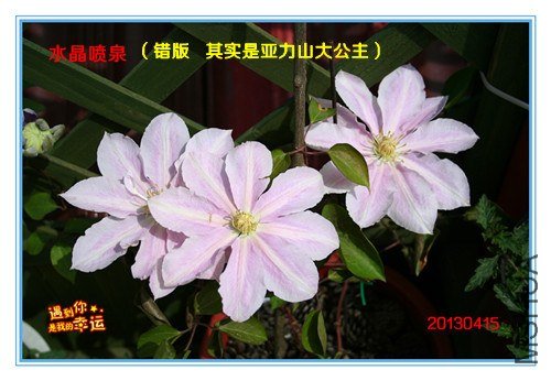 ��Ƭ 096_����.jpg