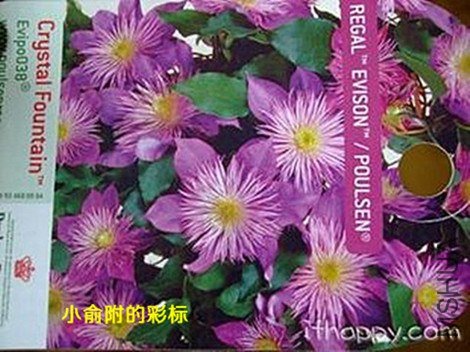 ��Ƭ 096_����2.jpg