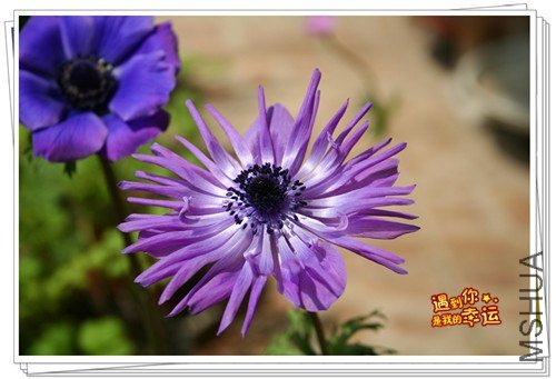 ��Ƭ 033_����.jpg