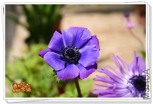 ��Ƭ 034_����.jpg