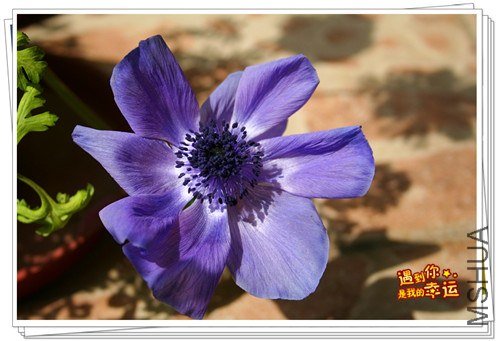 ��Ƭ 035_����.jpg