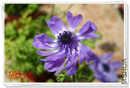 ��Ƭ 036_����.jpg