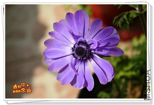 ��Ƭ 037_����.jpg