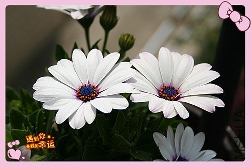 ��Ƭ 043_����.jpg