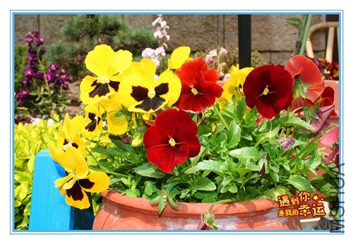 ��Ƭ 087_����.jpg