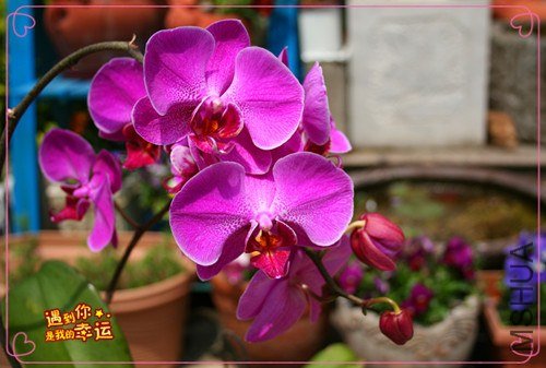 ��Ƭ 132_����.jpg