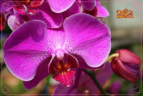 ��Ƭ 133_����.jpg