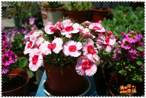 ��Ƭ 065_����.jpg