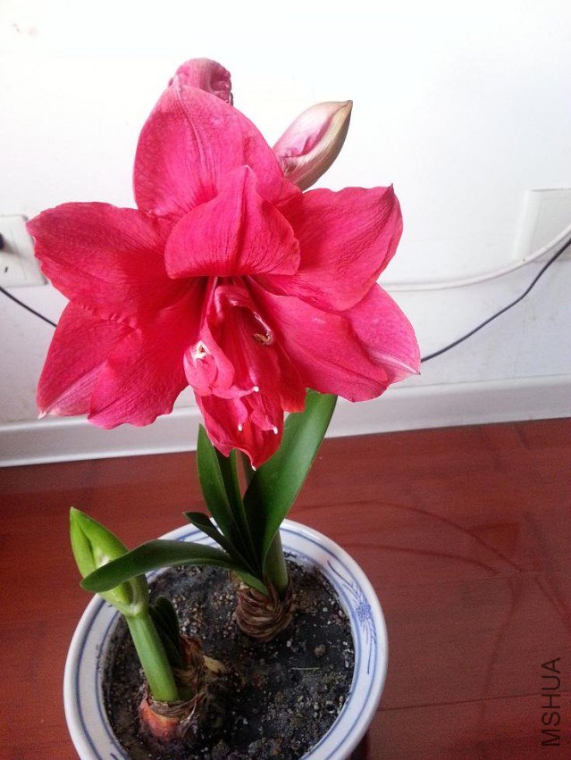 20130119_073213.JPG