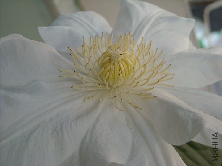 ������С�ڵ�