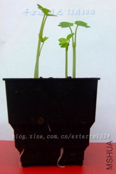�������¹�2012-1210(002).jpg