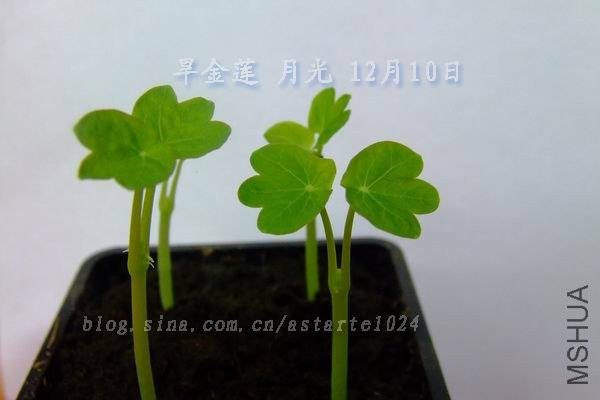 �������¹�2012-1210(003).jpg