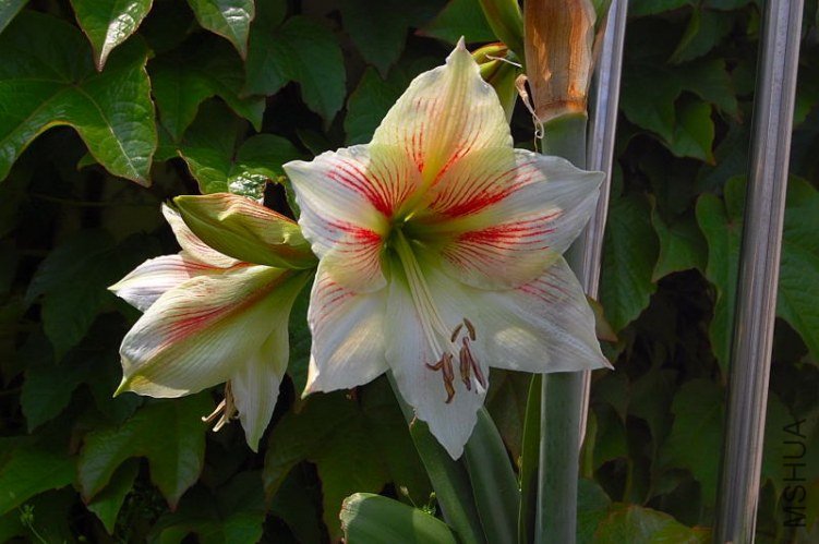DSC_01420142.JPG