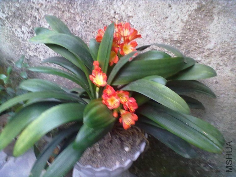 20130428210.jpg