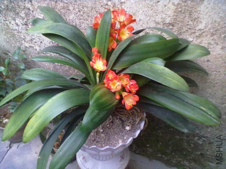 20130428211.jpg