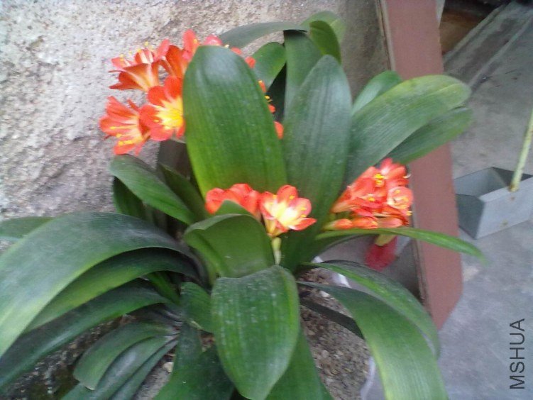 20130428212.jpg