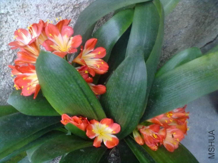 20130428213.jpg